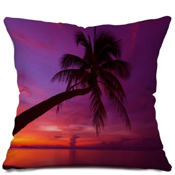Popular Pillows