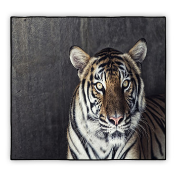 Tiger Area Rugs & Custom Size Floor Mats