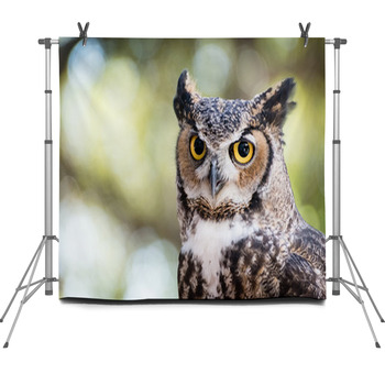 Portrait Of A Great Horned Owl Fleece Backdrop