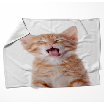 Portrait Of A Red Yawning Kitten. Woven Throw Blanket
