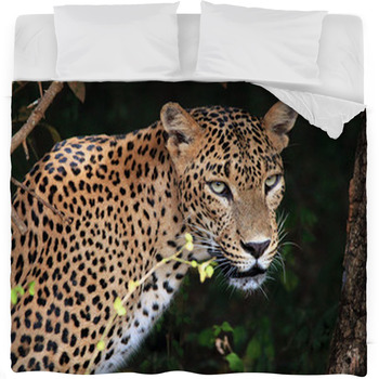 Portrait Of An Sri Lankan Leopard, Fleece Bed Blanket