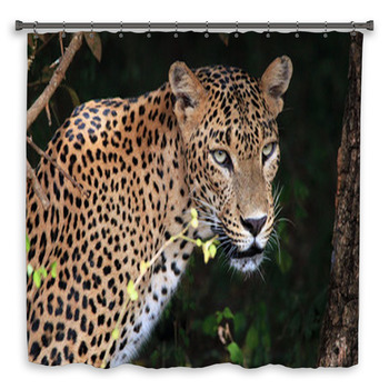 Portrait Of An Sri Lankan Leopard, Yala, Shower Curtain