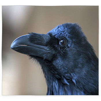 Portrait Of Black Crow Standing - Custom Size Floor Mat