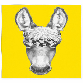 Portrait Of Donkey With Scarf Hand  Custom Size Floor Mat