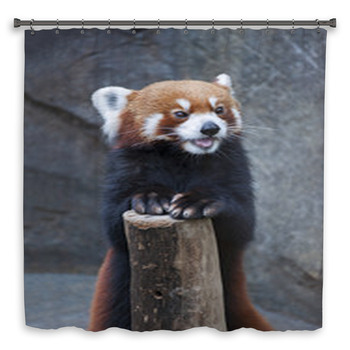 Portrait Of Red Panda, Custom Size Shower Curtain