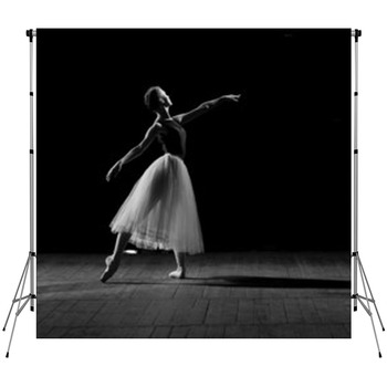 Portrait Of Young Pretty Ballerina Fleece Backdrop