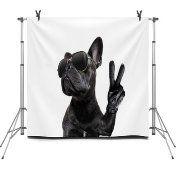 Posing Dog With Sunglasses And Peace Fleece Backdrop