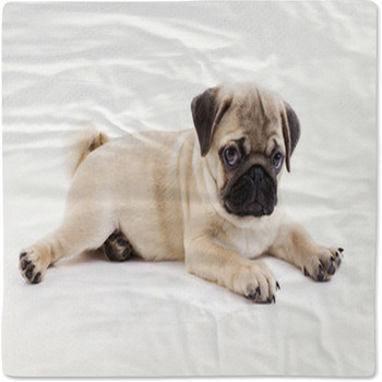 Pug Puppy Baby Blanket