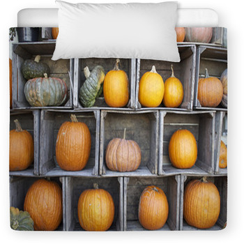 Pumpkin Display Toddler Comforter