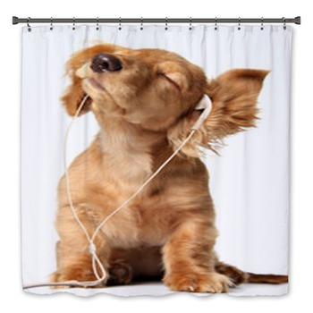 Puppy Bath Decor