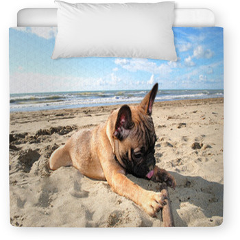 Puppy Dog French Bouledogue At Seaside Toddler Duvet