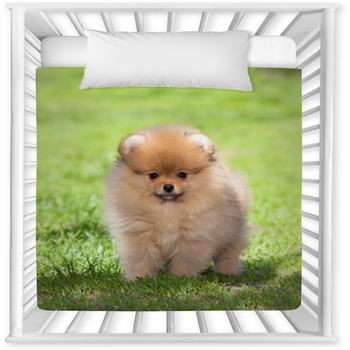 Puppy On Green Grass Baby Crib Comforter