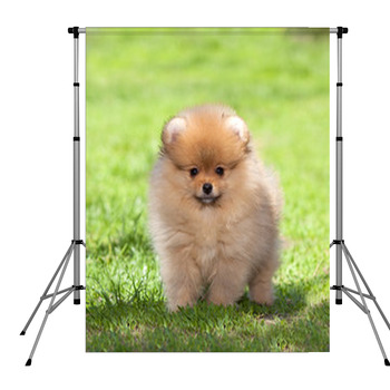 Puppy On Green Grass Pole Pocket Backdrop