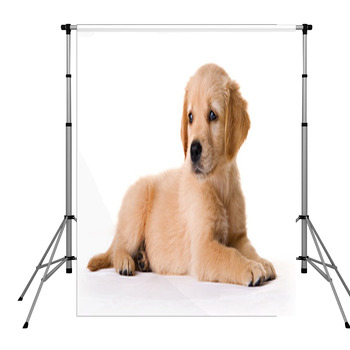 Puppy Pole Pocket Backdrop