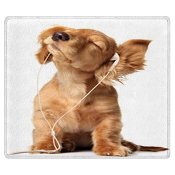 Puppy Rugs
