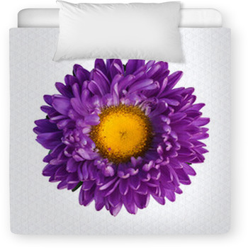 Purple Aster Toddler Duvet