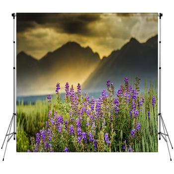 Purple Lupines In The Tetons Fleece Backdrop