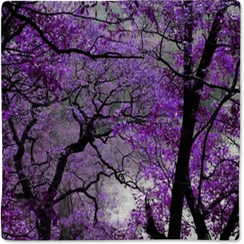 Purple Tree Leaves Forest Spring Baby Blanket