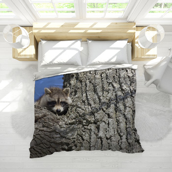 Raccoon baby comforter outlet