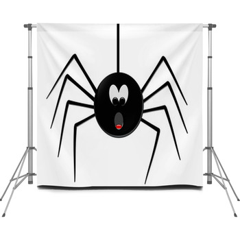 Ragno Sorpresa Custom Size Backdrop