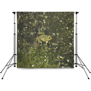 Rana Pole Pocket Backdrop