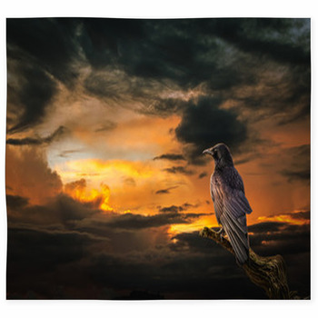 Raven At Sunset Custom Size Floor Mat