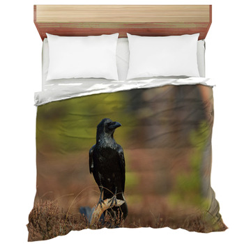 Raven Comforters Duvets Sheets Sets Custom