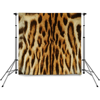 Real Skin Of Ocelot Pole Pocket Backdrop