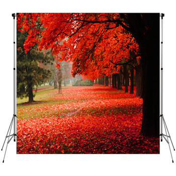 Red Autumn In The Park Fleece Backdrop