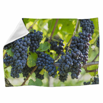 Red Bunch Of Grapes In The Vineyard Fleece Blanket