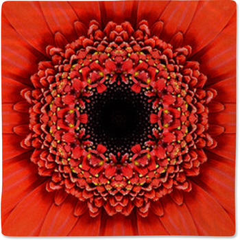 Red Concentric Flower Center Mandala Baby Blanket
