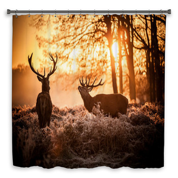 Red Deer In Morning Sun. Shower Curtain