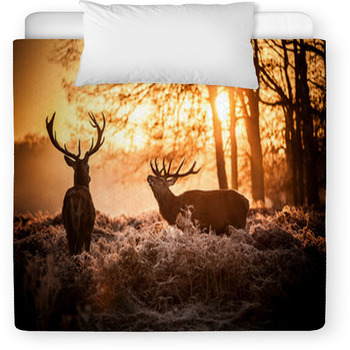 Red Deer In Morning Sun. Toddler Duvet