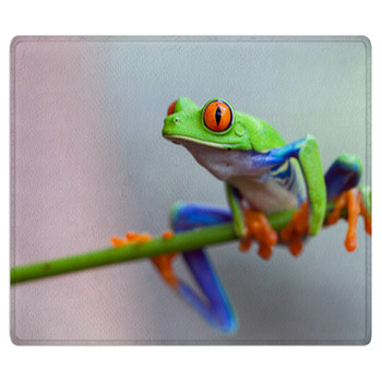 Red Eye Frog Bath Mat