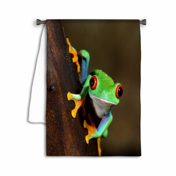 Red Eye Frog Poisonous Amphibian In A Tree Towel