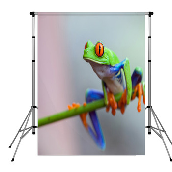 Red Eye Frog Pole Pocket Backdrop