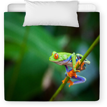 Red Eye Frog Toddler Duvet