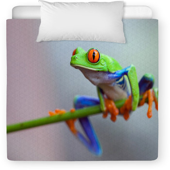 Red Eye Frog Toddler Duvet
