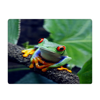 Red Eyed Tree Frog Bath Mat