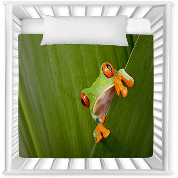 Red Eyed Tree Frog Peeping Baby Crib Comforter