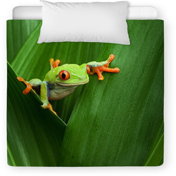 Red Eyed Tree Frog Toddler Duvet