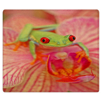 Red eyed Treefrog Agalychnis Callidryas Bath Mat