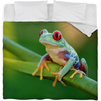 Red eyed Treefrog Agalychnis Fleece Bed Blanket