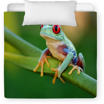 Red eyed Treefrog Agalychnis Callidryas Toddler Duvet