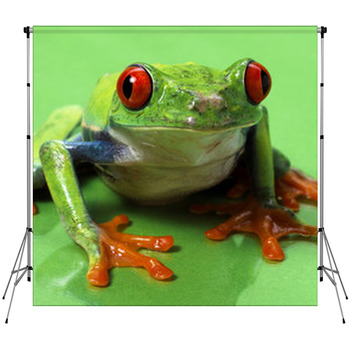 Red Eyed Treefrog Macro Isolated Exotic  Fleece Backdrop