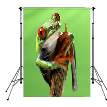 Red Eyed Treefrog Macro Isolated Pole Pocket Backdrop