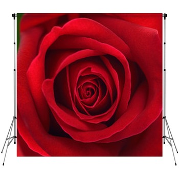 Red Floral Backdrops