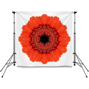 Red Mandala Gerbera Flower Pole Pocket Backdrop