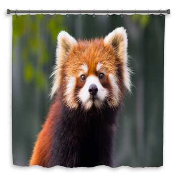 Red panda 1 Custom Size Shower Curtain