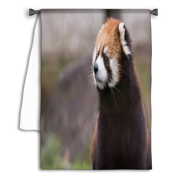 Red Panda 3 Towel